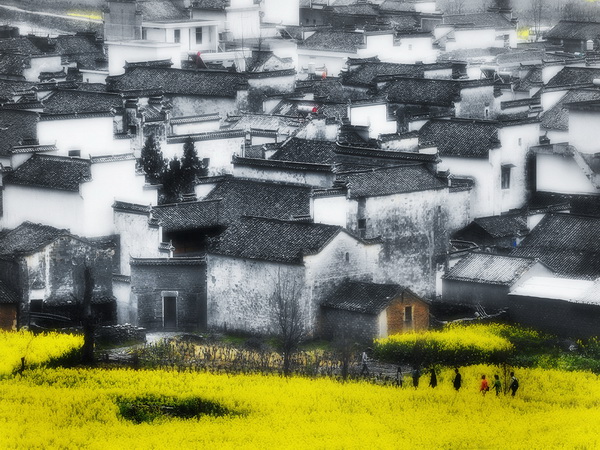 入选奖 侍卫东 徽居.jpg