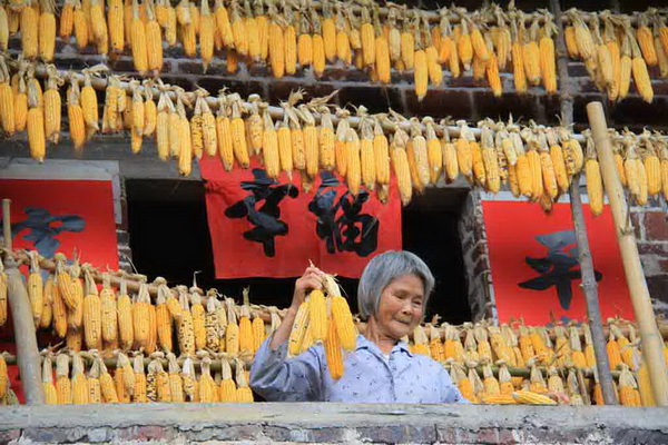 铜奖 黄建芳 晒“幸福”.JPG