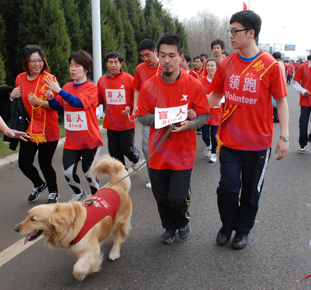 尹平《领路跑》.jpg