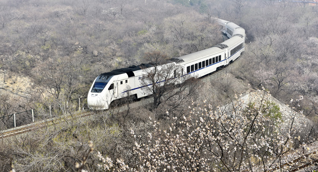 孙东华 《和谐号列车穿过居庸关花海》 中国北京.jpg