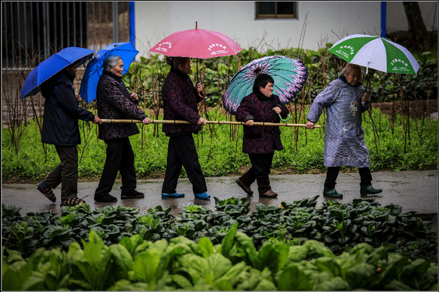 社会组《带路》樊兔兔